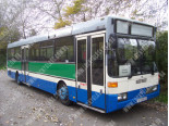 Mercedes O 405 (83-01), Лобове скло