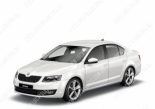 Skoda Octavia A7 (13-), Лобовое стекло